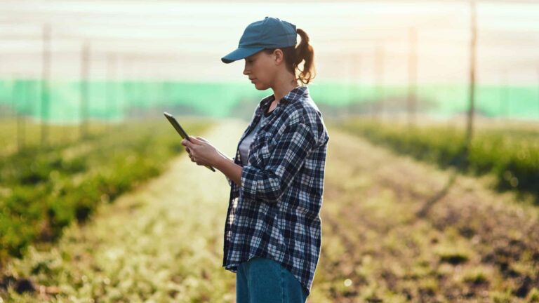 Agriculture sector faces rise in cyberattacks due to digitisation