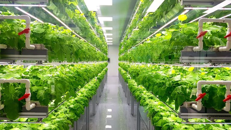 Plenty to build vertical farms with Mawarid in $680m venture